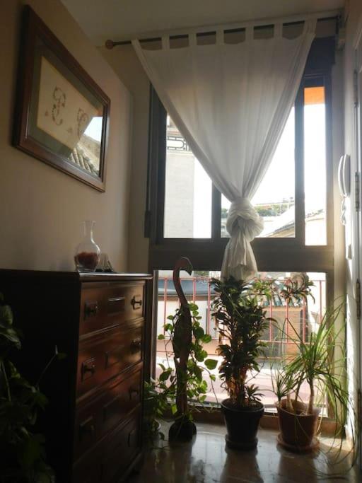 Penthouse!!! Center Of Seville!!! 2 Bedroom + 2 Bath!!! Exterior photo